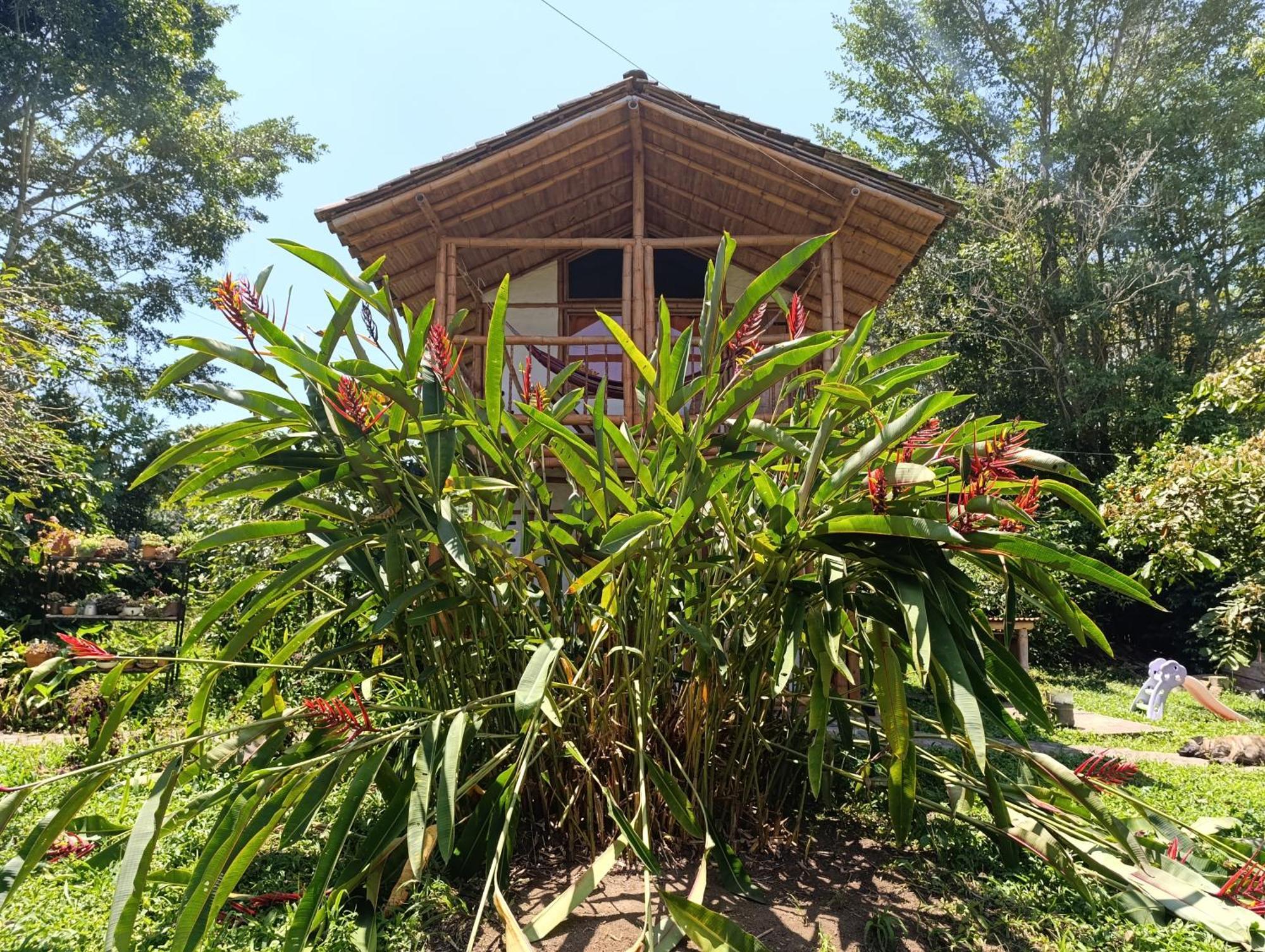 Casa Entera Finca Cometa San Agustín Dış mekan fotoğraf