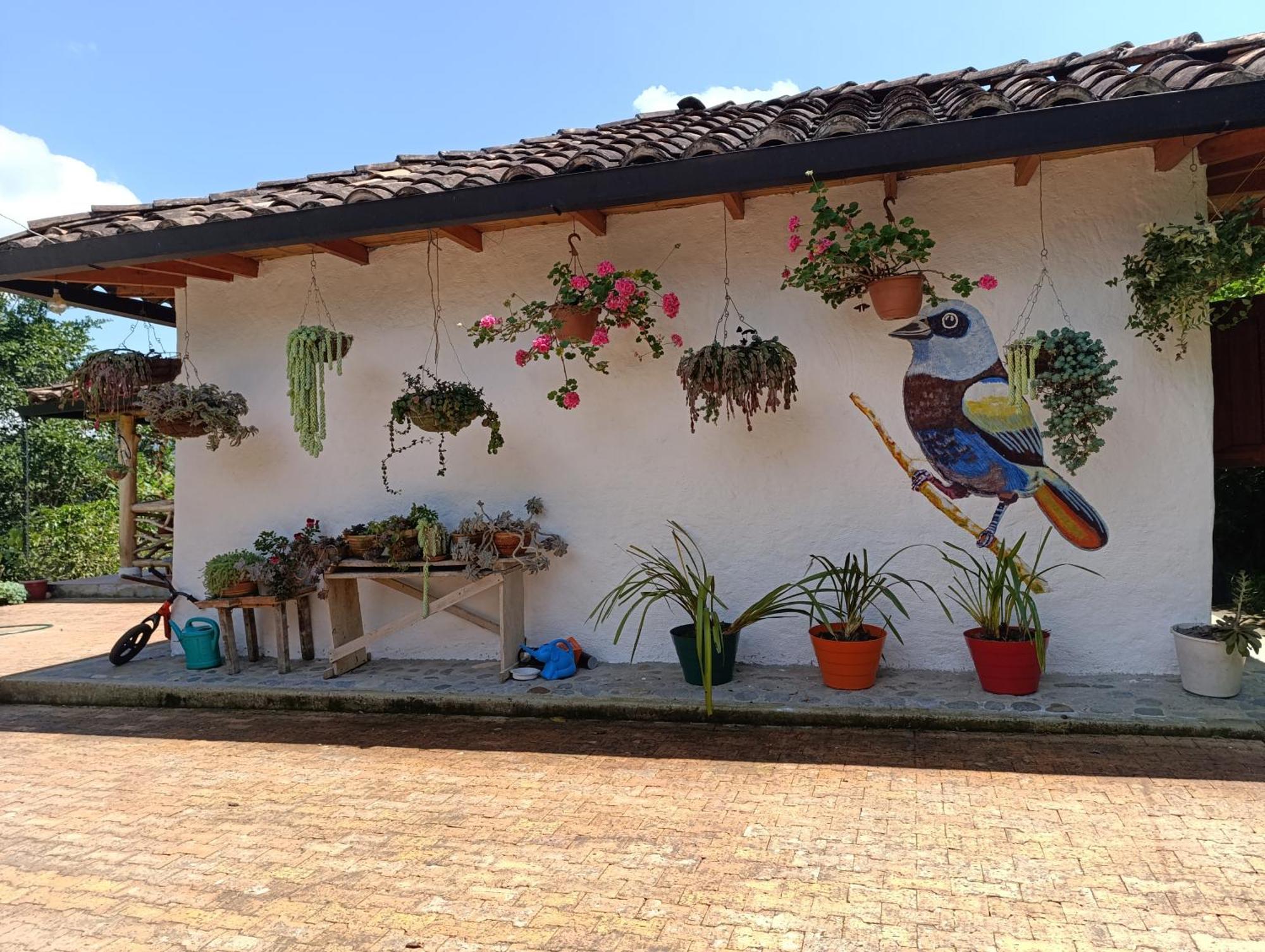 Casa Entera Finca Cometa San Agustín Dış mekan fotoğraf