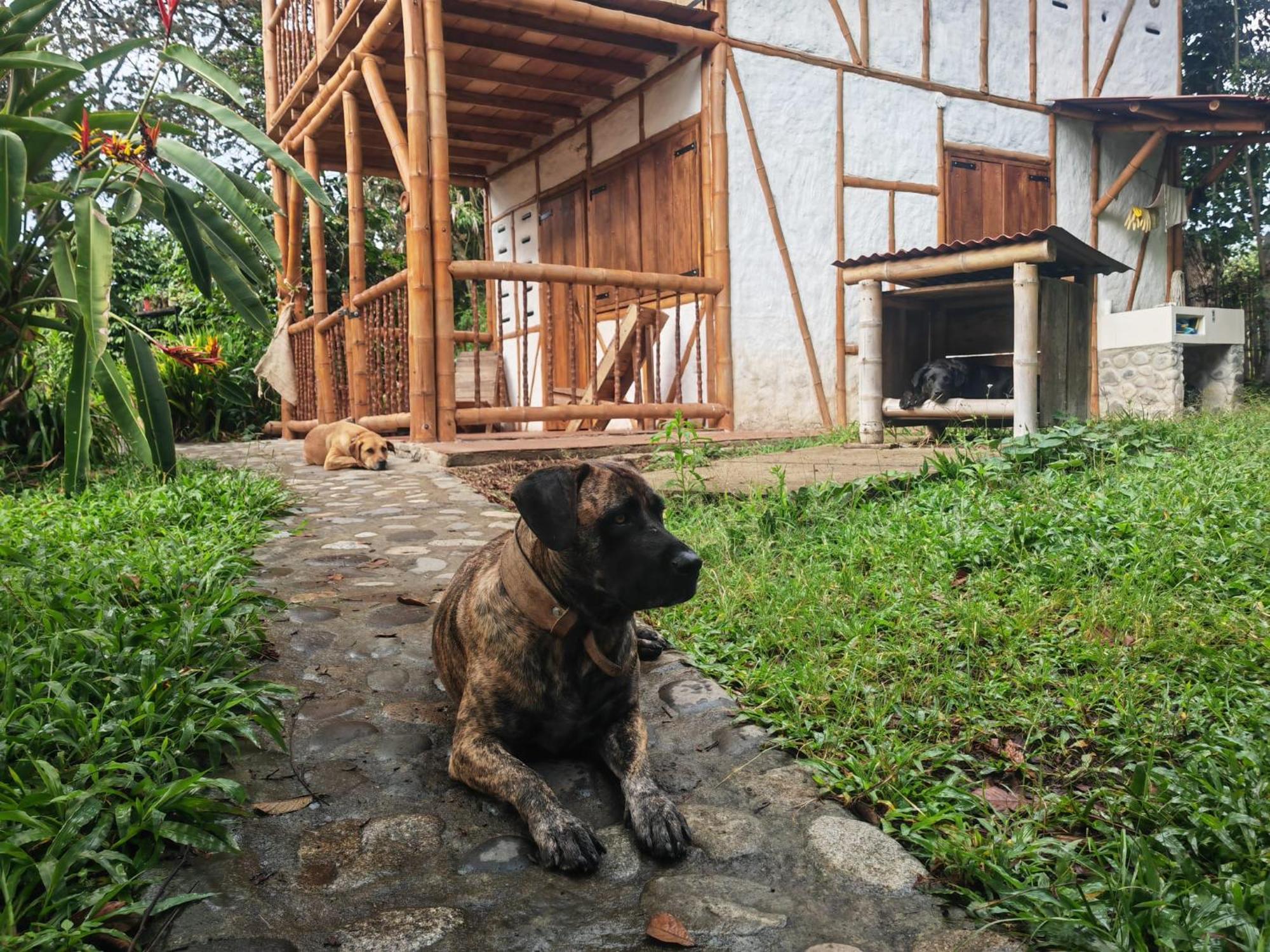 Casa Entera Finca Cometa San Agustín Dış mekan fotoğraf