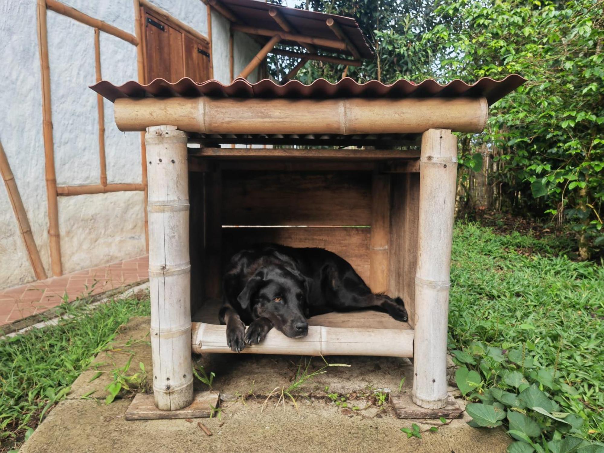 Casa Entera Finca Cometa San Agustín Dış mekan fotoğraf