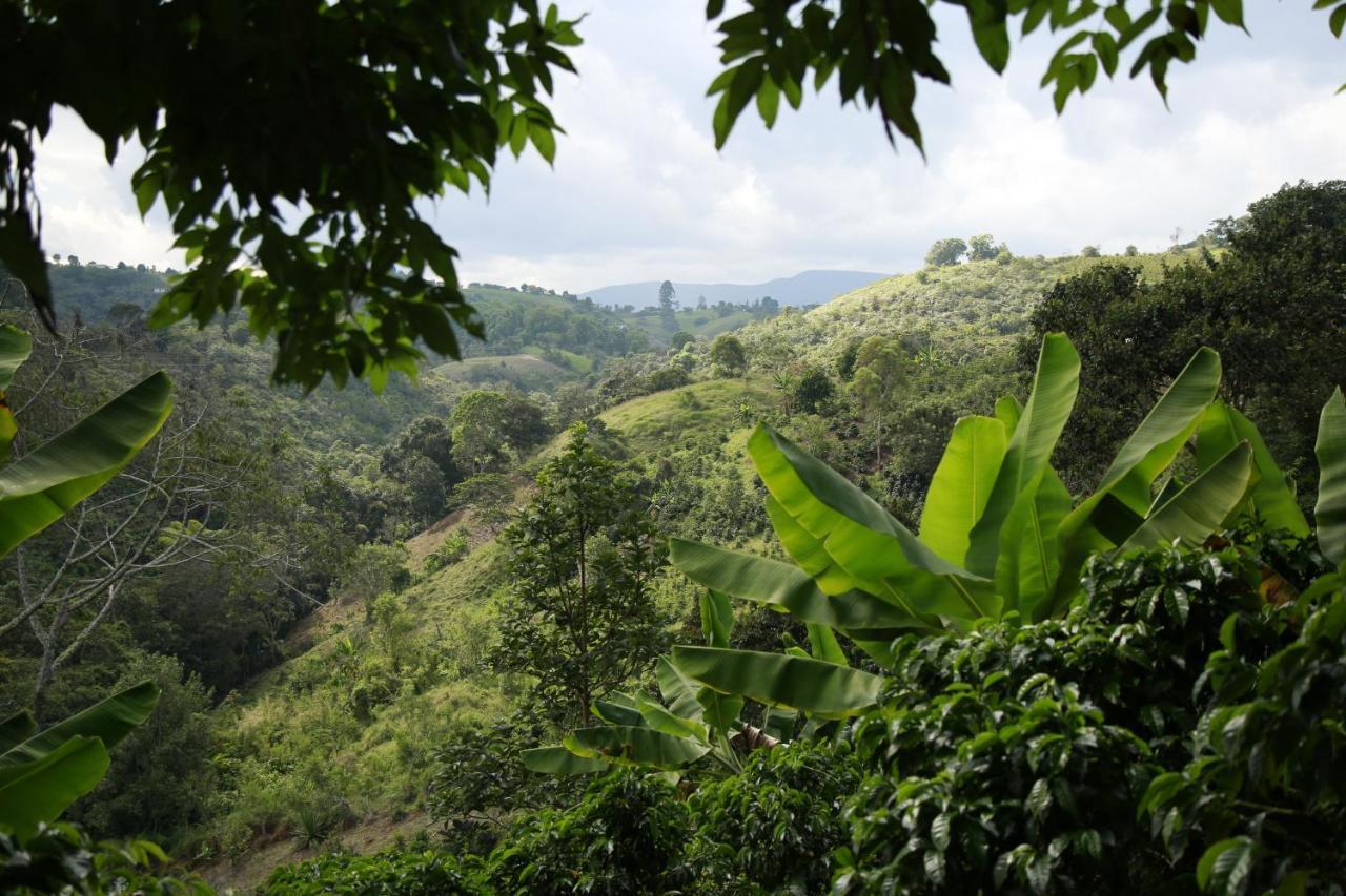 Casa Entera Finca Cometa San Agustín Dış mekan fotoğraf